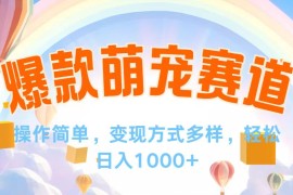 实战（12473期）视频号爆款赛道，操作简单，变现方式多，轻松日入1000+09-05中创网