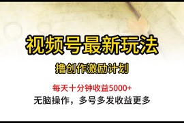 最新短视频运营项目，视频号最新玩法，每日一小时月入5000+