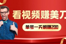 最新项目看视频赚美刀：每小时40+，多号矩阵可放大收益【揭秘】便宜08月03日冒泡网VIP项目