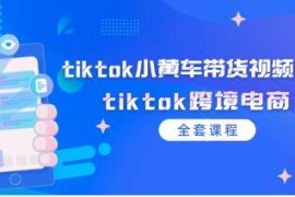 tiktok小黄车带货视频教程，tiktok跨境电商结盟抖音号运营