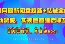 2024最新11月最新网盘拉新+私域全自动裂变，实现管道睡后收益，当天见效果，单日破900+11-12冒泡网