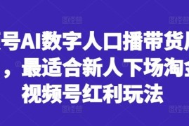 赚钱项目视频号AI数字人口播带货风口项目，最适合新人下场淘金的视频号红利玩法10-09冒泡网