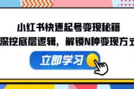 小红书快速起号变现秘籍，深挖底层逻辑，解锁N种变现方式联盟抖音号运营