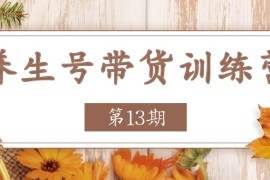 （11275期）养生号-带货训练营【第13期】收益更稳定的玩法，让你带货收益爆炸，06月26日中创网VIP项目