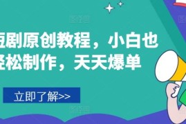 热门项目音乐短剧原创教程，小白也可轻松制作，天天爆单便宜07月19日冒泡网VIP项目