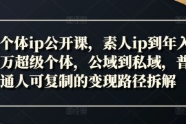 热门项目新个体ip公开课，素人ip到年入百万超级个体，公域到私域，普通人可复制的变现路径拆解便宜08月04日冒泡网VIP项目