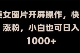 赚钱项目美女图片开屏操作，快速涨粉，小白也可日入1k【揭秘】09-01冒泡网