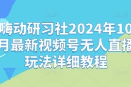 每天嗨动研习社2024年10月最新视频号无人直播玩法详细教程10-26冒泡网