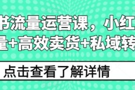 小红书流量运营课，小红书搞流量+高效卖货+私域转化连抖音号运营