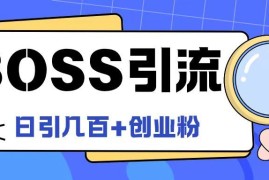 实战Boss直聘引流创业粉最新玩法日引100+创业粉【揭秘】08-14冒泡网