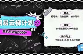 赚钱热门给力项目项目，2024网易云云梯计划 单机日300+ 无脑月入5000+