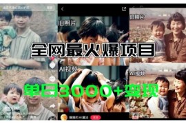 热门项目全网爆火的AI让老照片动起来教程，蹭热点日赚3k+，内含免费工具一键可生成【揭秘】便宜07月11日冒泡网VIP项目