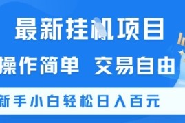 最新挂G项目，操作简单，交易自由，新手小白轻松日入100+【揭秘】