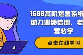 2024最新1688高阶运营系统课，助力业绩倍增，老板运营必学08-30冒泡网