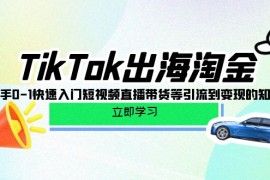 赚钱跨境电商项目，TikTok-出海淘金，新手0-1快速入门短视频直播带货等引流到变现的知识