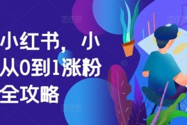 每天掘金小红书，小红书从0到1涨粉变现全攻略10-11冒泡网