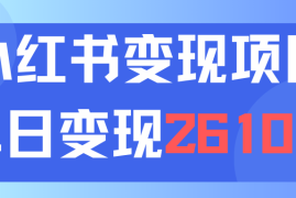 每日（11885期）利用小红书卖资料单日引流150人当日变现2610元小白可实操（教程+资料）便宜08月01日中创网VIP项目