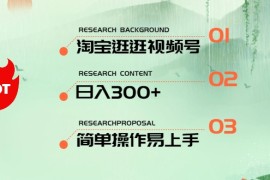 实战国内电商项目，最新淘宝逛逛视频号，日入300+，一人可三号，简单操作易上手