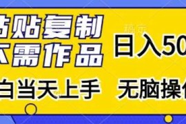 2024最新粘贴复制，无需作品，日入500+，小白当天上手，无脑操作11-07冒泡网