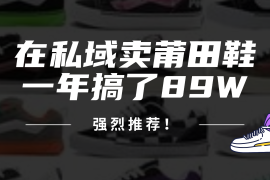 2024最新（12370期）24年在私域卖莆田鞋，一年搞了89W，强烈推荐！08-29中创网