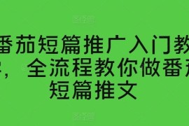 番茄短篇推广入门教学，全流程教你做番茄短篇推文，06月24日冒泡网VIP项目