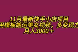 简单项目11月K总部落快手小店情趣男粉项目，利用模板搬运美女视频，多变现方式月入3000+11-10冒泡网