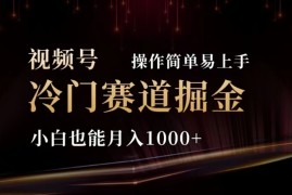 每日（11378期）2024视频号冷门赛道掘金，操作简单轻松上手，小白也能月入1000+，07月02日中创网VIP项目