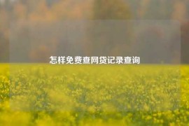 怎样免费查网贷记录查询