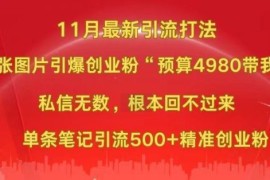 实战小红书11月最新图片打粉，一张图片引爆创业粉，“预算4980带我飞”，单条引流500+精准创业粉11-13冒泡网