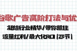 实战跨境电商项目，谷歌广告高阶打法与优化，凝结行业精华/带你抓住流量红利/最大化ROI(23节)