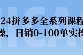 2024拼多多全系列课程实操，日销0-100单实操【必看】，06月23日冒泡网VIP项目