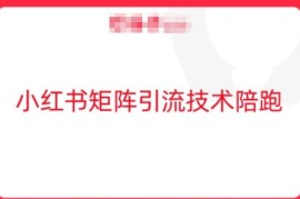 热门项目小红书矩阵引流技术，教大家玩转小红书流量09-25冒泡网