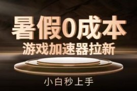 最新项目暑假0成本游戏加速器拉新，小白秒上手，无需投资【揭秘】便宜07月10日冒泡网VIP项目