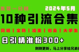 很火引流-涨粉-软件项目，0投入，每天搞300+“同城、宝妈、减重、创业、大学生”等10大流量！