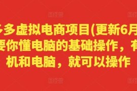 2024最新拼多多虚拟电商项目(更新6月)，只要你懂电脑的基础操作，有手机和电脑，就可以操作便宜07月12日冒泡网VIP项目