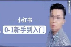 实战小红书电商实操课，0基础小白轻松上手，掌握小红书基本玩法规则，讲解小红书人群属性01-15冒泡网