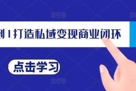 热门项目从0到1打造私域变现商业闭环，私域变现操盘手，私域IP打造11-20冒泡网