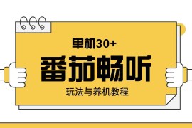 实战（13966期）番茄畅听玩法与养机教程：单日日入30+。01-14中创网