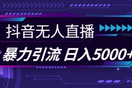 实战抖音快手视频号全平台通用无人直播引流法，利用图片模板和语音话术，暴力日引流100+创业粉【揭秘】11-05冒泡网