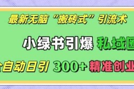 每日最新无脑“搬砖式”引流术，小绿书引爆私域圈，全自动日引300+精准创业粉【揭秘】12-09冒泡网