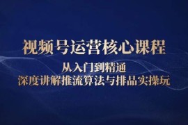 每日（13863期）视频号运营核心课程，从入门到精通，深度讲解推流算法与排品实操玩12-30中创网