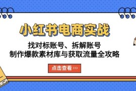 创业项目小红书电商实战：找对标账号、拆解账号、制作爆款素材库与获取流量全攻略11-28福缘网