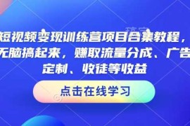 手机创业AI短视频变现训练营项目合集教程，直接无脑搞起来，赚取流量分成、广告、定制、收徒等收益02-10冒泡网