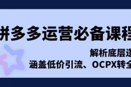 实战（13700期）拼多多运营必备课程，解析底层逻辑，涵盖低价引流、OCPX转全站12-17中创网