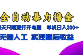 最新项目（13186期）全自动暴力撸金，只需要打开电脑，单机日入300+无需人工，实现睡后收益11-02中创网