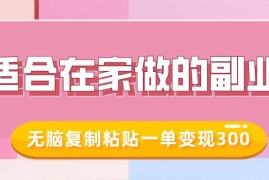 最新项目适合在家做的副业，小红书冷知识账号，无脑复制粘贴一单变现30001-23冒泡网