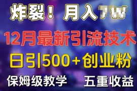 简单项目炸裂!揭秘12月最新日引流500+精准创业粉，多重收益保姆级教学12-05冒泡网