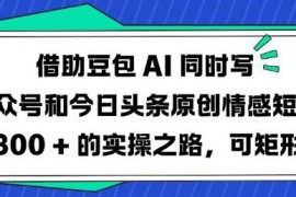 赚钱项目借助豆包AI同时写公众号和今日头条原创情感短文日入3张的实操之路，可矩形操作03-06冒泡网