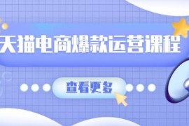 2024最新（13910期）天猫电商爆款运营课程，爆款卖点提炼与流量实操，多套模型全面学习01-05中创网