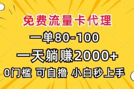 赚钱项目（13551期）一单80，免费流量卡代理，一天躺赚2000+，0门槛，小白也能轻松上手12-03中创网